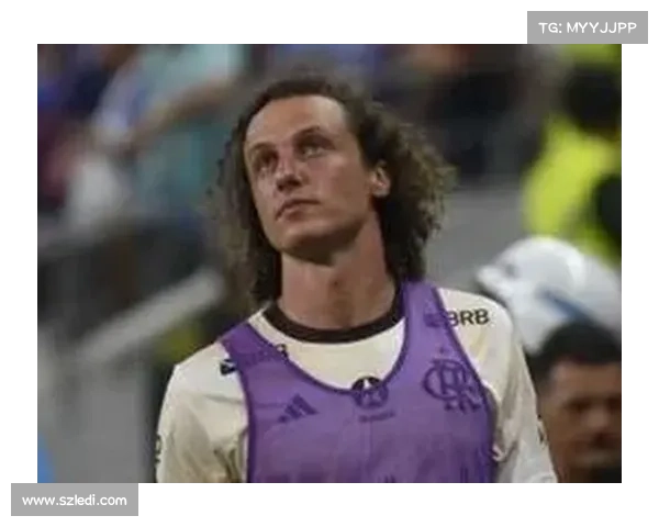 大卫路易斯未入选国家队的深层原因分析与其影响因素探讨